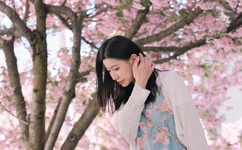 蛇蝎美人百度影音